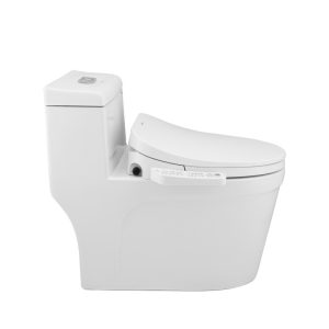 Ảnh công trình thực tế Bồn Cầu Liền Khối Ecod EB270