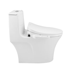 Ảnh công trình thực tế Bồn Cầu Liền Khối Ecod EB282