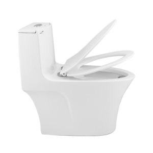 Ảnh công trình thực tế Bồn Cầu Liền Khối Ecod EB282