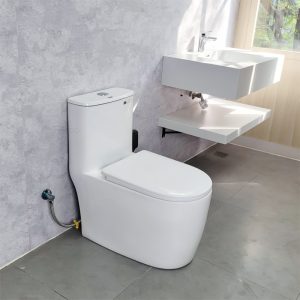 Ảnh công trình thực tế Bồn Cầu Liền Khối Ecod EB555