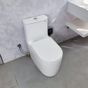 Ảnh công trình thực tế Bồn Cầu Liền Khối Ecod EB555