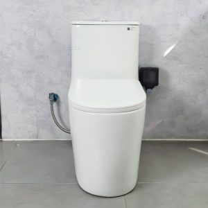 Ảnh công trình thực tế Bồn Cầu Liền Khối Ecod EB555