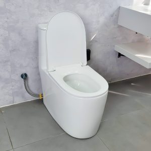 Ảnh công trình thực tế Bồn Cầu Liền Khối Ecod EB555