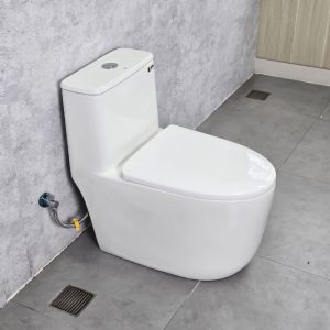 Ảnh công trình thực tế Bồn Cầu Liền Khối Ecod EB9063
