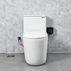 Ảnh công trình thực tế Bồn Cầu Liền Khối Ecod EB9063