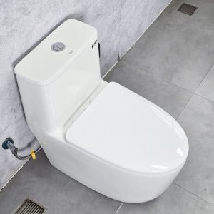 Ảnh công trình thực tế Bồn Cầu Liền Khối Ecod EB9063