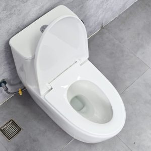 Ảnh công trình thực tế Bồn Cầu Liền Khối Ecod EB9063
