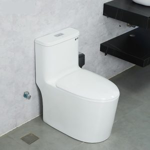 Ảnh công trình thực tế Bồn Cầu Liền Khối Ecod EB9065