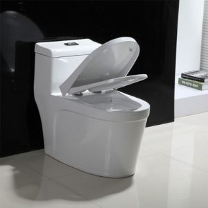 Ảnh công trình thực tế Bồn Cầu Liền Khối Ecod ED118