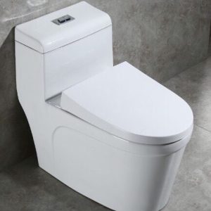 Ảnh công trình thực tế Bồn Cầu Liền Khối Ecod ED118
