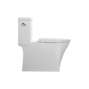 Ảnh công trình thực tế Bồn Cầu Liền Khối Ecod ED6081