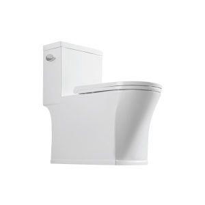 Ảnh công trình thực tế Bồn Cầu Liền Khối Ecod ED6081