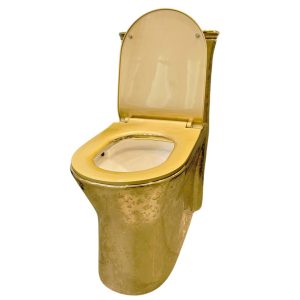 Ảnh công trình thực tế Bồn Cầu Mạ Vàng BASIC ROYAL-T