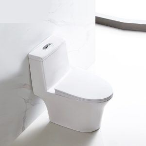 Ảnh công trình thực tế Bồn Cầu Một Khối BASIC BS-106