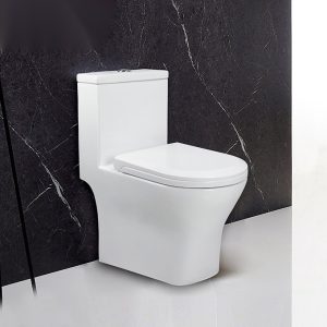 Bồn Cầu Một Khối BASIC BS-SHORT