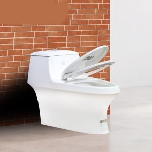 Ảnh công trình thực tế Bồn Cầu Một Khối BASIC BSA-123
