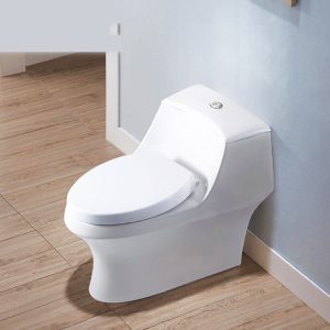 Bồn Cầu Một Khối BASIC BSA-123