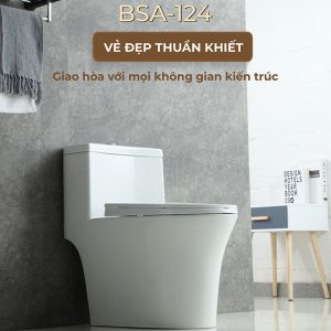 Ảnh công trình thực tế Bồn Cầu Một Khối BASIC BSA-124