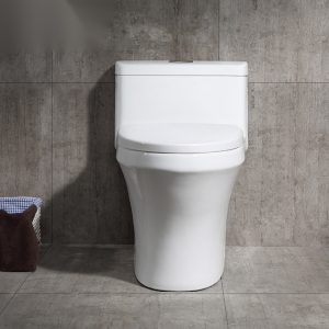 Ảnh công trình thực tế Bồn Cầu Một Khối BASIC BSA-125