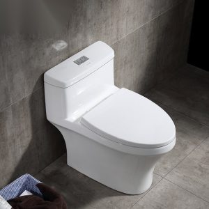 Ảnh công trình thực tế Bồn Cầu Một Khối BASIC BSA-125