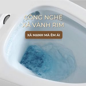 Ảnh công trình thực tế Bồn Cầu Một Khối BASIC BSA-125