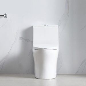 Ảnh công trình thực tế Bồn Cầu Water Jet BASIC ERA-860