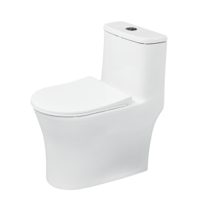 Ảnh công trình thực tế Bồn Cầu Một Khối BASIC SPIRAL-S