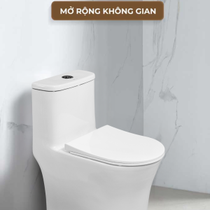 Ảnh công trình thực tế Bồn Cầu Một Khối BASIC SPIRAL-S