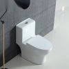 Bồn Cầu Một Khối BASIC TIDE - ảnh 3