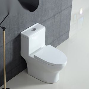 Ảnh công trình thực tế Bồn Cầu Một Khối BASIC TIDE