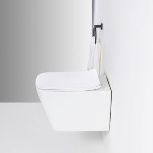 Ảnh công trình thực tế Bồn Cầu Treo Tường Ecod EB288