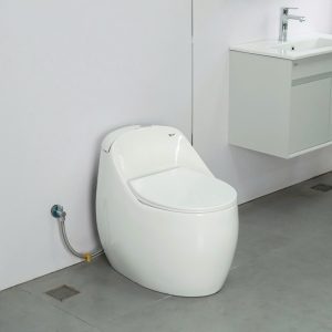 Ảnh công trình thực tế Bồn Cầu Trứng Liền Khối Ecod EB090