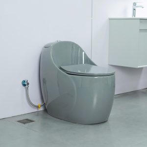 Ảnh công trình thực tế Bồn Cầu Trứng Liền Khối Ecod EB090