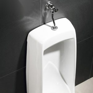 Ảnh công trình thực tế Bồn Tiểu Nam Đặt Sàn BASIC BU-14016