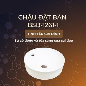 Ảnh công trình thực tế Lavabo Đặt Bàn BASIC BSB-1261-1
