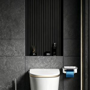 Ảnh công trình thực tế Lô Giấy Vệ Sinh BASIC BP-77207