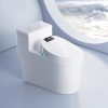 Nắp Rửa Điện Tử Ecod EBN1807 - ảnh 4