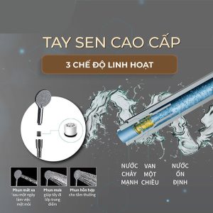 Ảnh công trình thực tế Sen Cây Nhiệt Độ BASIC BW-81233