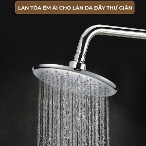 Ảnh công trình thực tế Sen Cây Nóng Lạnh BASIC BW-601SC