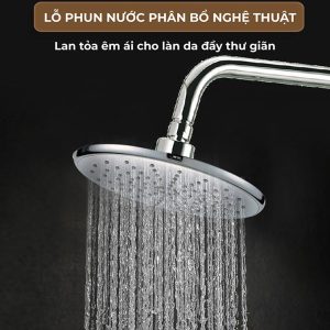 Ảnh công trình thực tế Sen Cây Nóng Lạnh BASIC BW-605SC