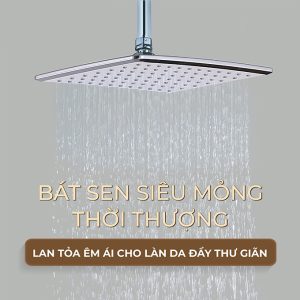 Ảnh công trình thực tế Sen Cây Nóng Lạnh BASIC BW-606SV