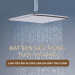 Ảnh công trình thực tế Sen Cây Nóng Lạnh BASIC BW-616SV