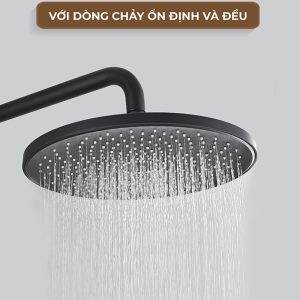 Ảnh công trình thực tế Sen Cây Nóng Lạnh BASIC BW-88388B Đen