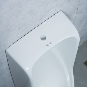 Ảnh công trình thực tế Tiểu Nam Treo Tường Ecod ETC068