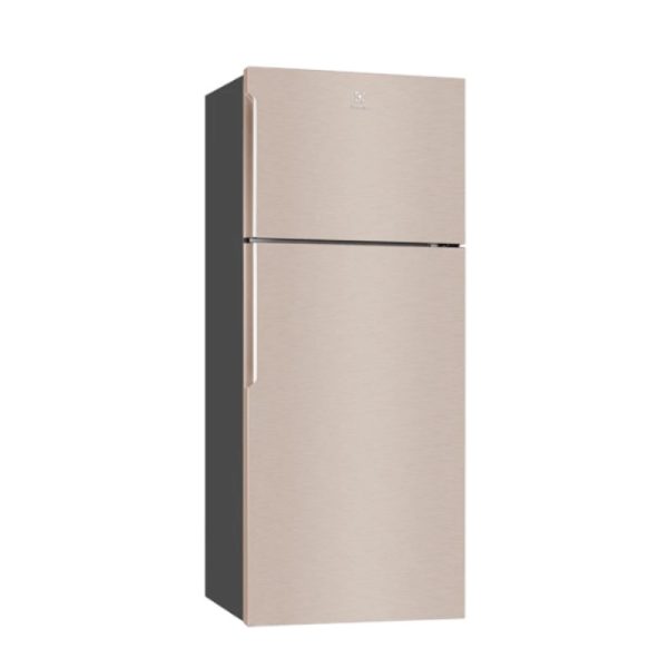 Tủ Lạnh Electrolux ETB4600B-G