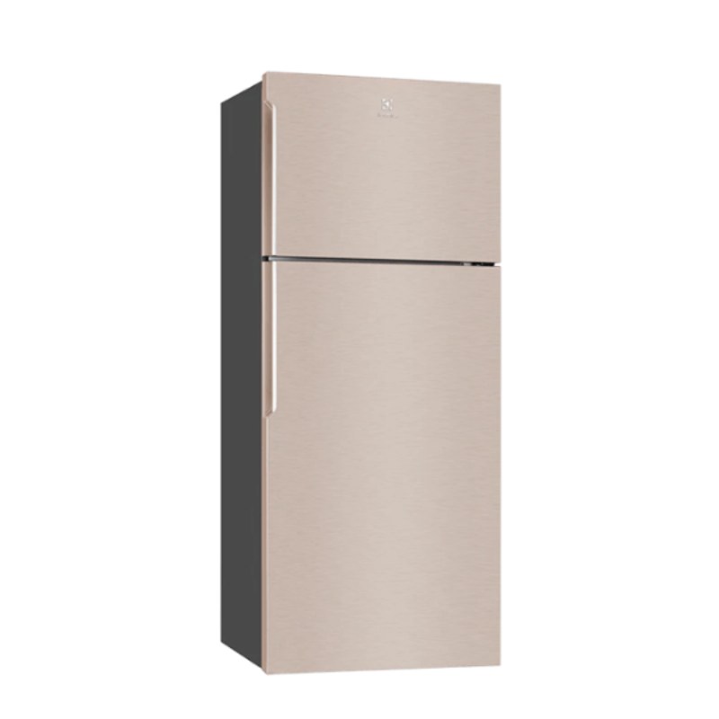 Tủ Lạnh Electrolux ETB4600B-G