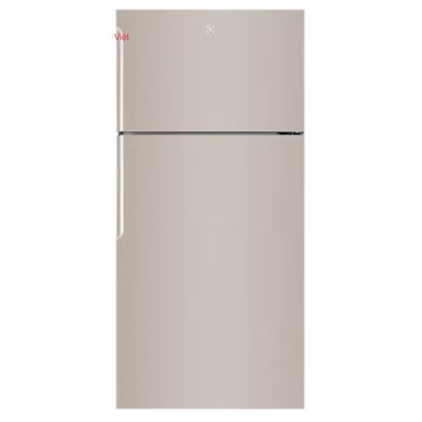 Tủ Lạnh Electrolux ETB5400B-G