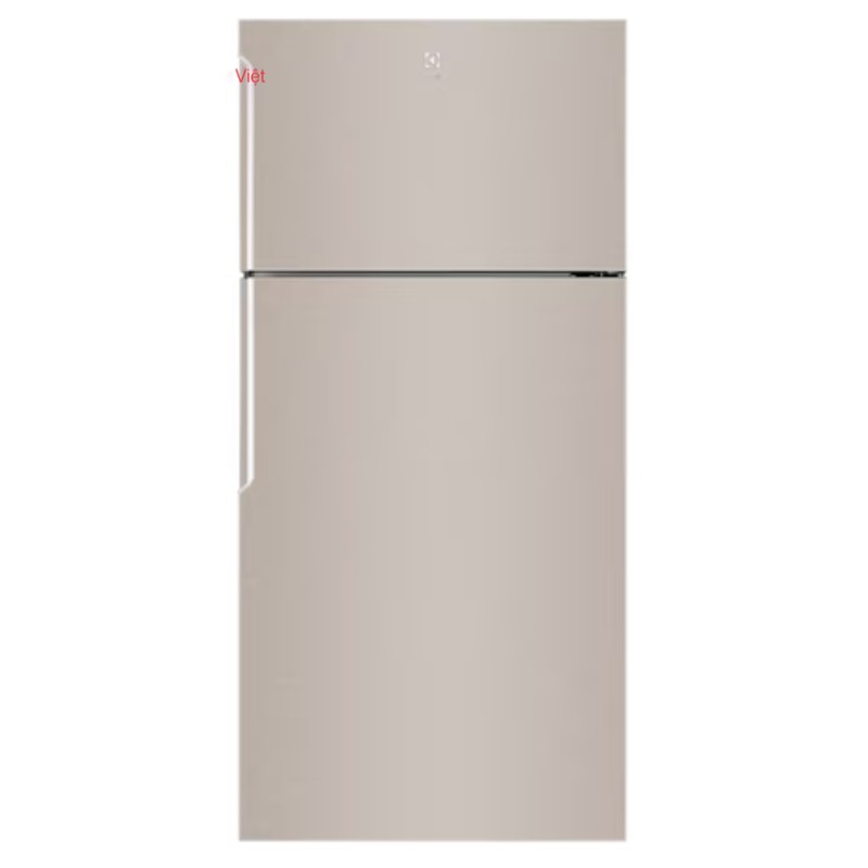 Tủ Lạnh Electrolux ETB5400B-G