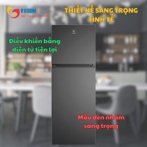 Ảnh công trình thực tế Tủ Lạnh Electrolux ETM3100L-B