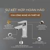 Vòi Lavabo Nước Lạnh BASIC BW-611L - ảnh 3